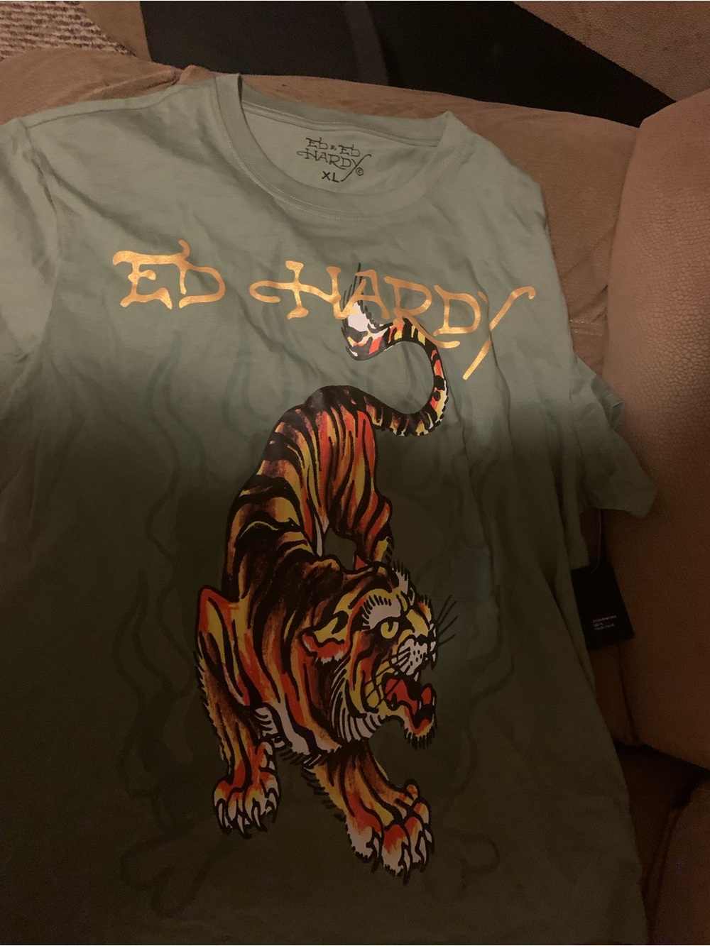 Ed Hardy Sage Green Kids Tee with Metallic Logo & Tiger Graphic